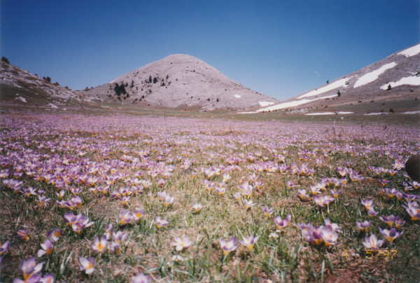PARNONAS Perdicovrysi - Agiannis - Malevi Monastery 5-March 2023